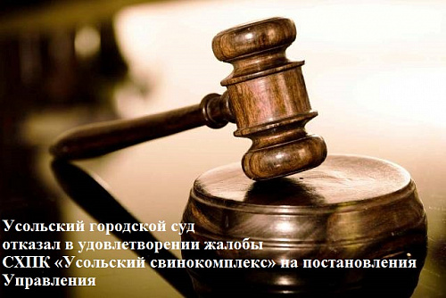Усольский городской суд отказал в удовлетворении жалобы СХПК «Усольский свинокомплекс» на постановления Управления 